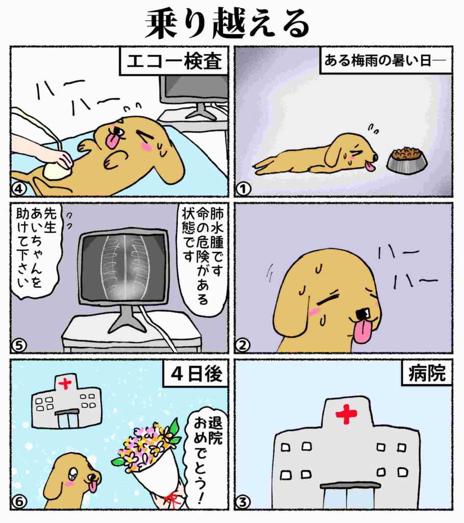 あいちゃん6コマ漫画8 乗り越える 投稿者 Aguri Gallery Esnir